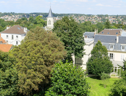 Zoom sur les collectifs participatifs de Montgeron (Essonne) et Le Chesnay-Rocquencourt (Yvelines)